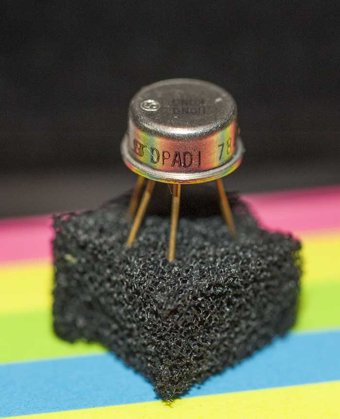DPAD1_web.jpg